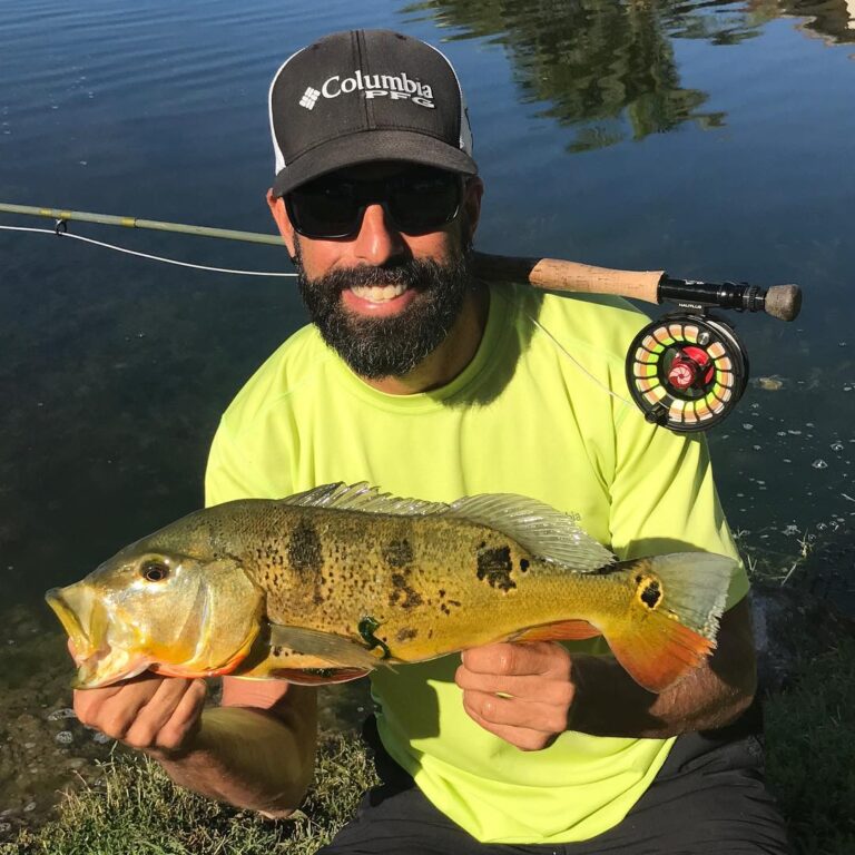 Peacock Bass on the fly