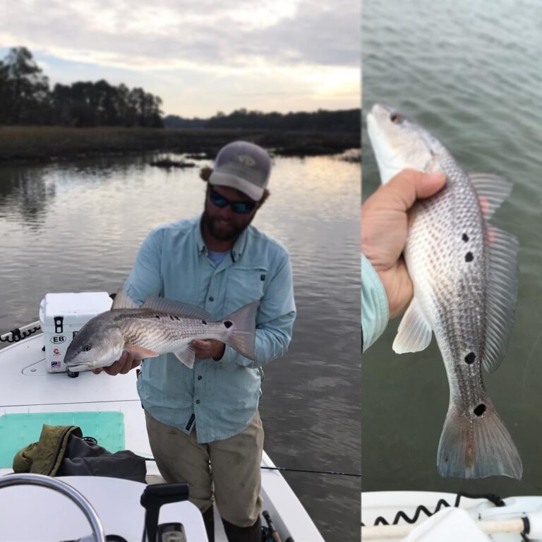 Spotty redfish were hangry