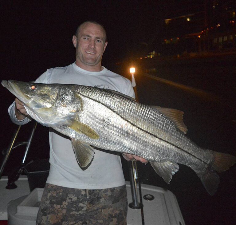 Big momma Snook