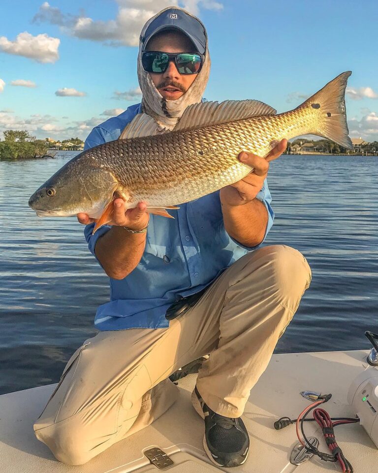 Walking the dog topwater = 30” Redfish