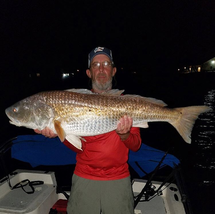 Beautiful 43” Bull Redfish