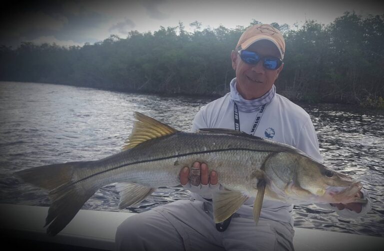 Beautiful Everglades Snook