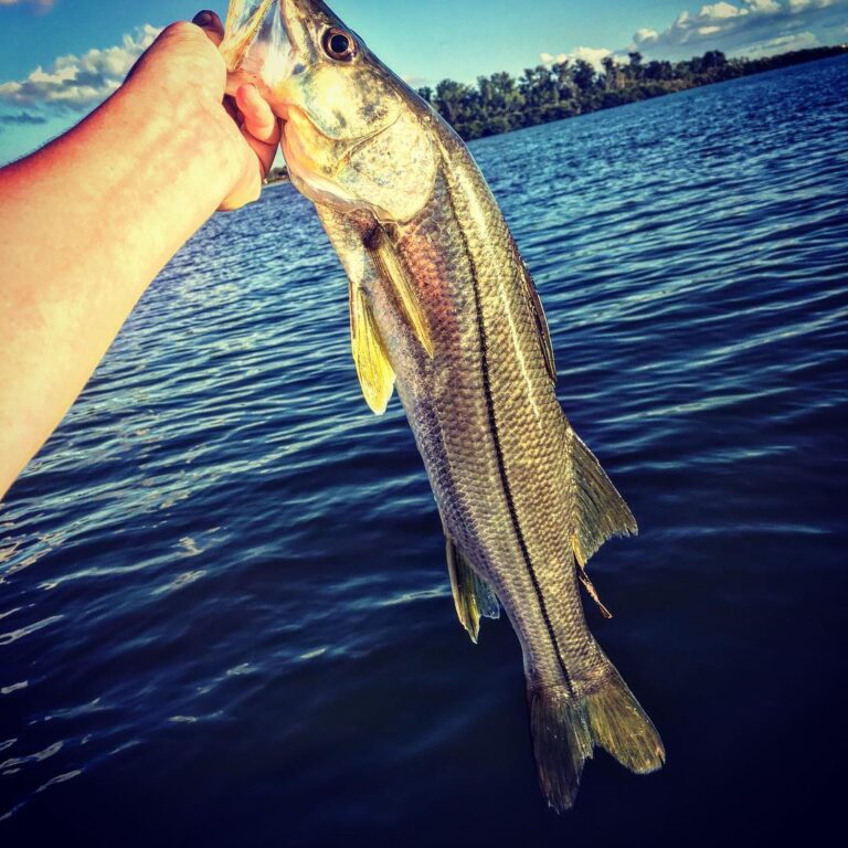 Lil snook on top. Pretty-pretty!