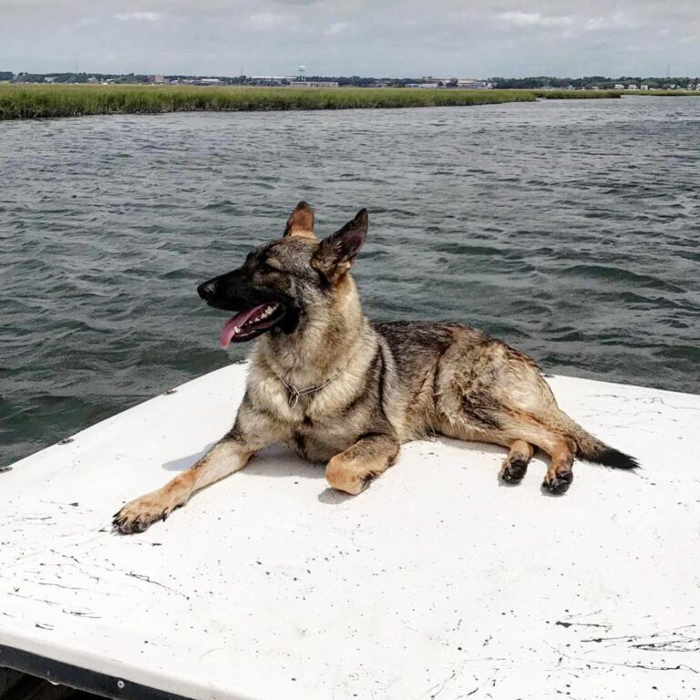 Best Fishin’ Buddy is one who doesn’t give up spots