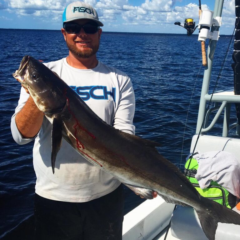 Cobia SMACKDOWN!