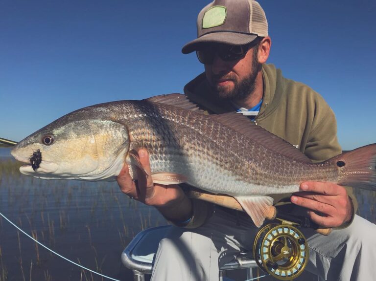 Lowcountry redfish