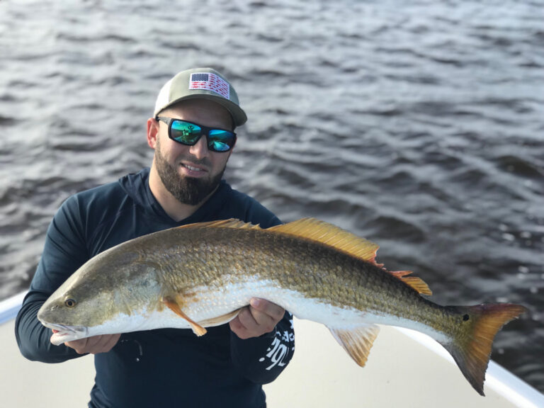 Healthy Bull Redfish