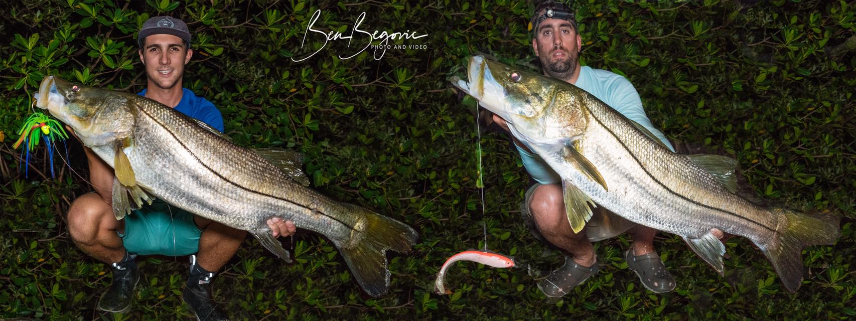 snook-fishing-florida