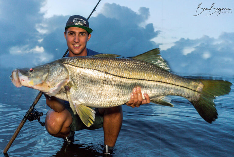 Beast mode? BEGOVIC MODE Check out this monster snook weighing in at over 35 lbs. caught by Deerfield Beach’s, Ben Begovic.