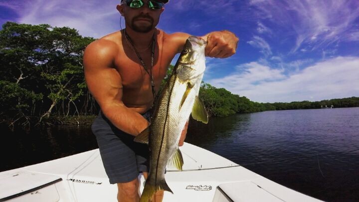 Caught 3 snook in 3 minutes all on video.