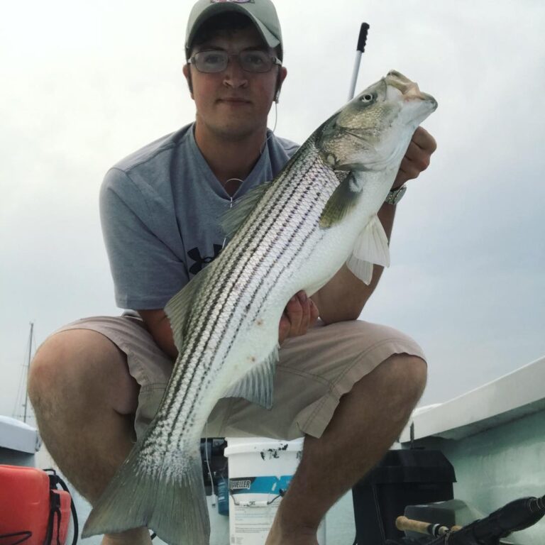 Found some quality striper tonight!