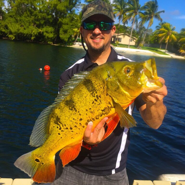 Erich’s biggest Peacock Bass