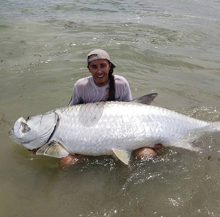 @dr.scalez caught this massive tarpon from land