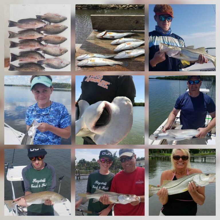 Few pics from the last few fishing trips.