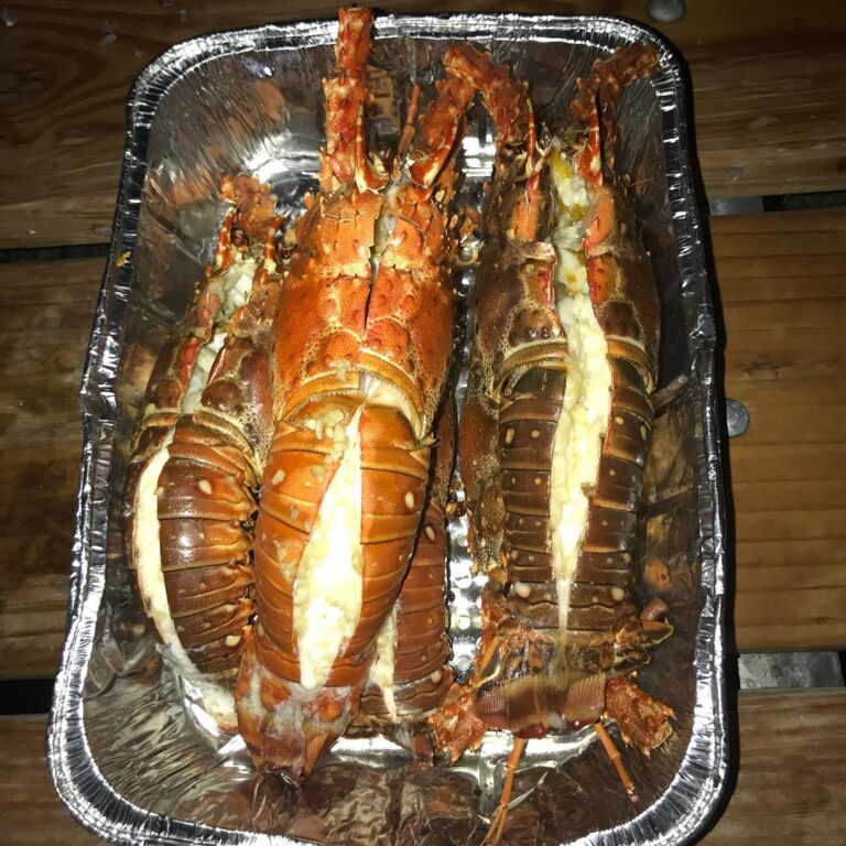 Fresh Lobsters for dinner!