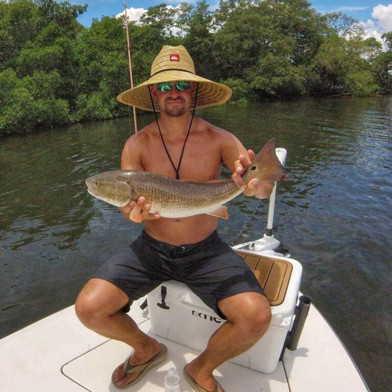 Healthy little Tampa Bay redfish.                            …