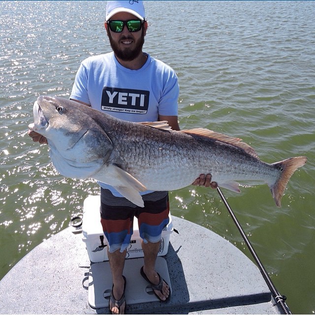 Mother of all redfish!