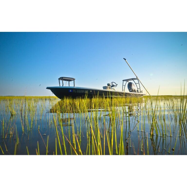 Salt Marsh Heron Skiff Sitting Pretty