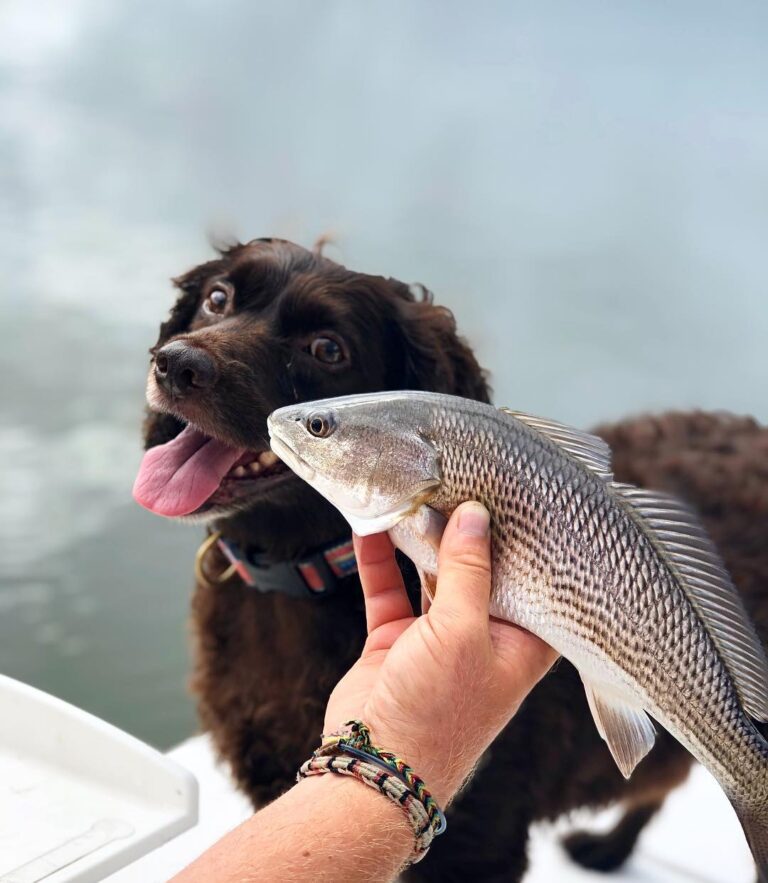 Hanging out with fishy friends.