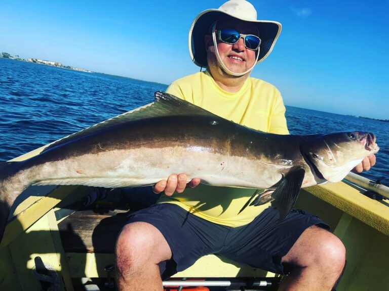 Tampa Bay Cobia!