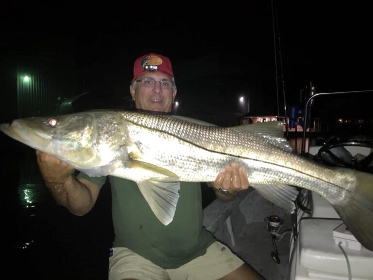 Sarasota’s Mad Snooker Snook Bonanza!