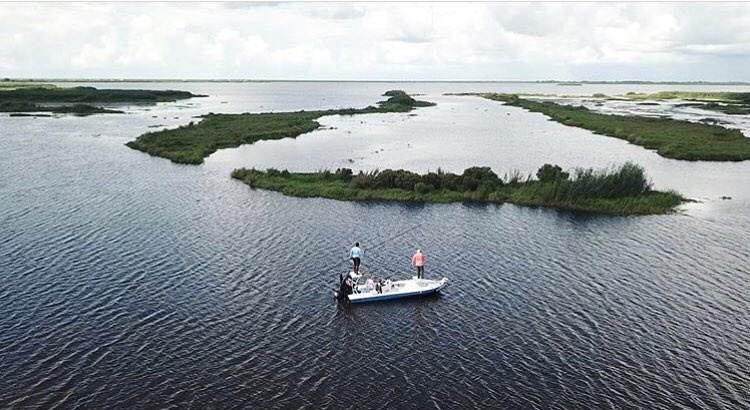 Skiff Life view from above