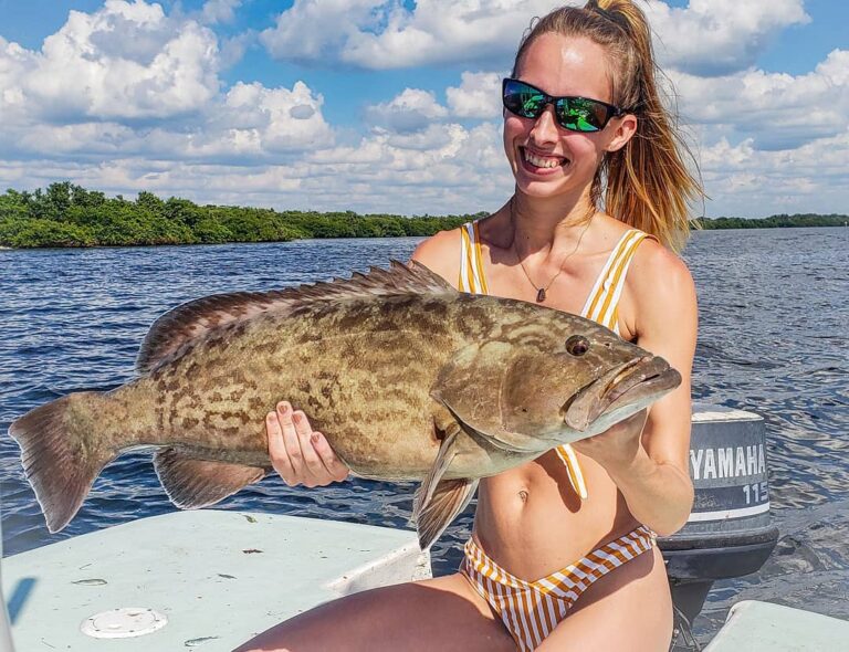 Awesome gag grouper catch!