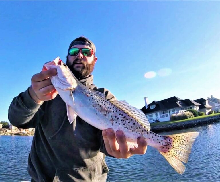 Nice trout from last Friday