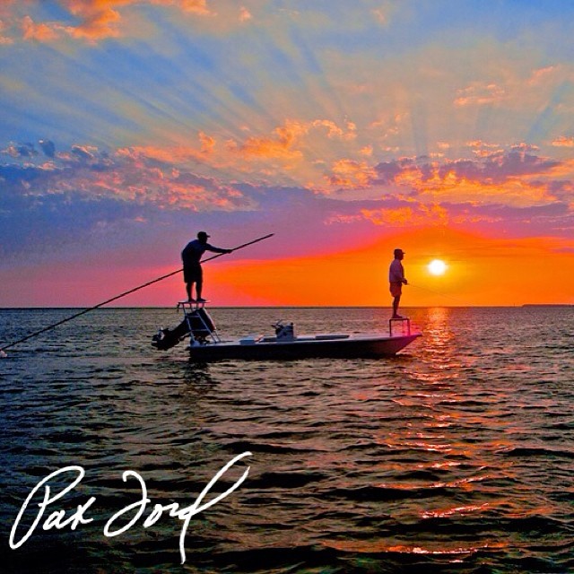 Check out our Skiff photo album by the talented Pat Ford