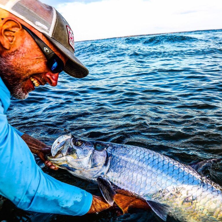 Megalops Atlanticus or commonly known as Tarpon….