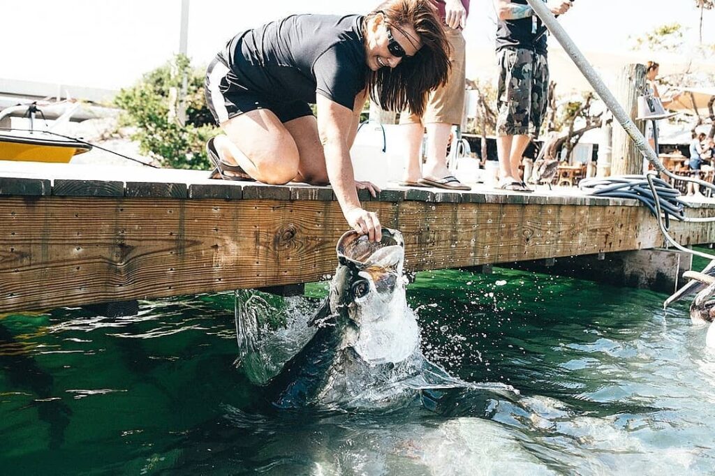 Experience the Florida Keys to its fullest and come feed the Hungry Tarpon.