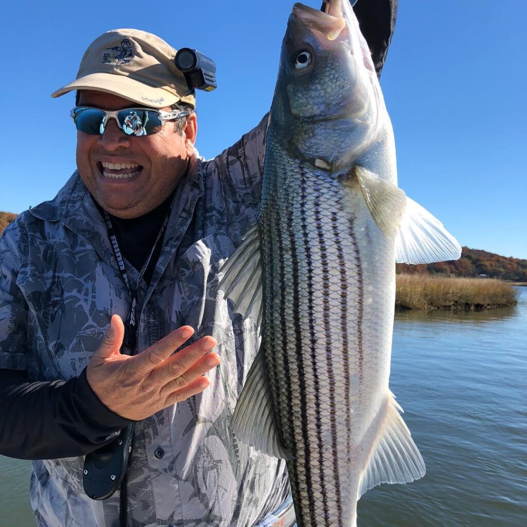 Fished the tidal flats for Stripped Bass today, all fish released to fight anoth