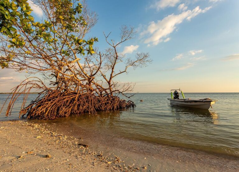 Beautiful Lithium Skiff