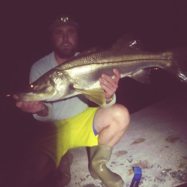 Got a few snook last night.