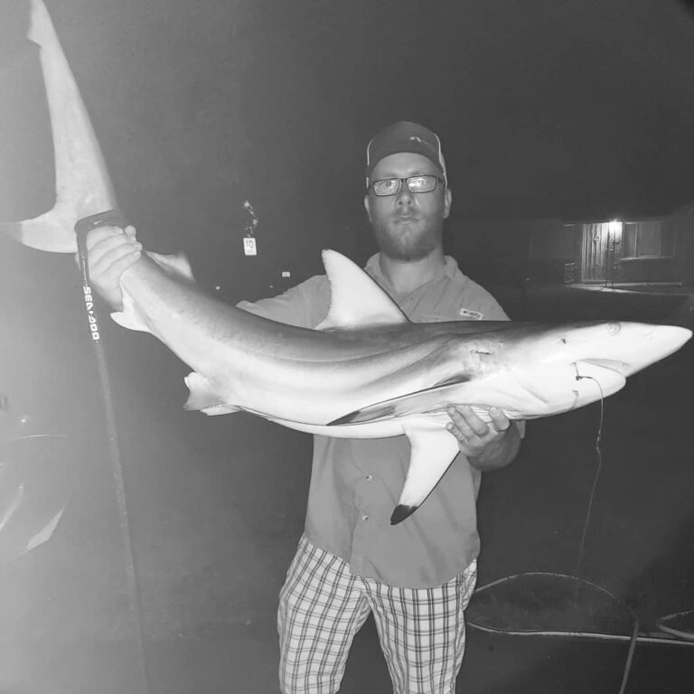 Black tip shark for dinner??