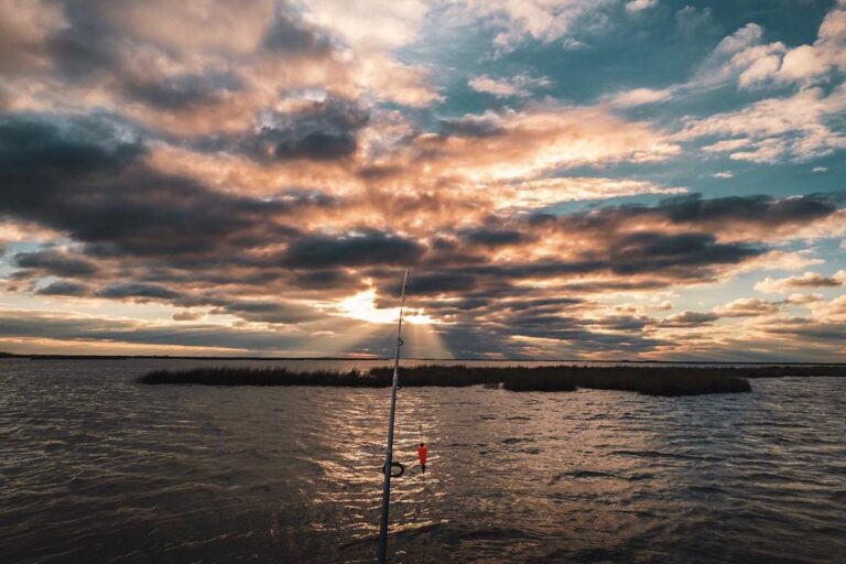 Louisiana delivers good times and incredible views.