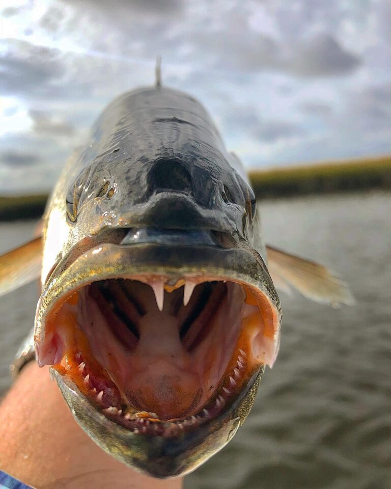 Trout showing off her glams!