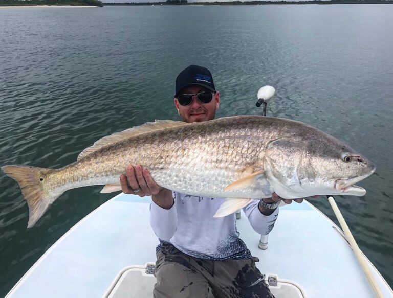 Massive Bull Redfish!