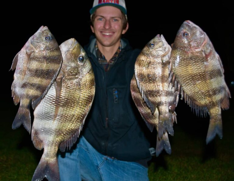 Night Sheepshead Fishing? Got ’em!