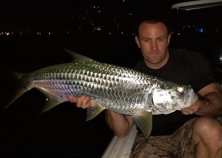 Tarpon are out super thick right now. Fun Size!