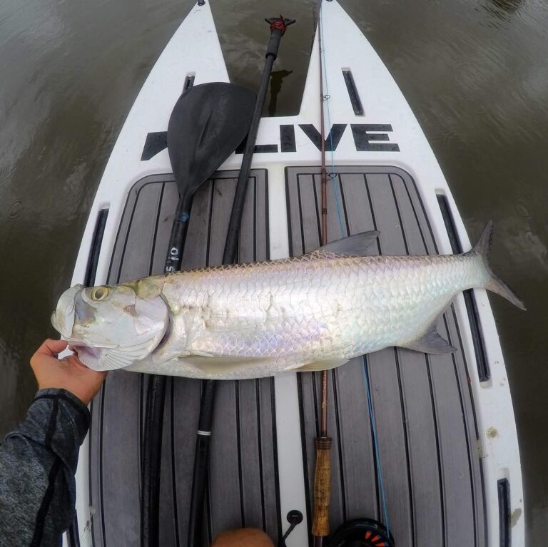 L2fish micro skiff silently stalking tarpon.