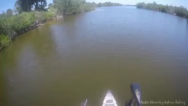 Sick tarpon battle footage!