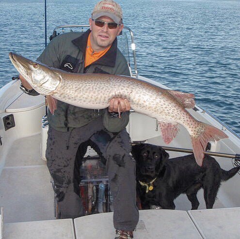 Beautiful Musky!