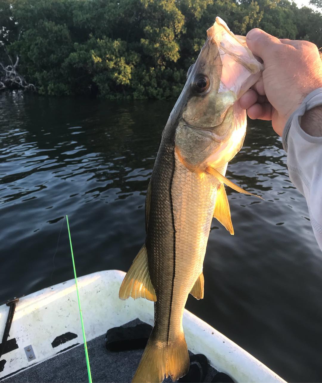 Snook on a spook!