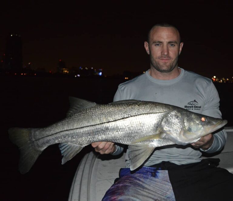 Sweet surprise while snapper fishing 





 