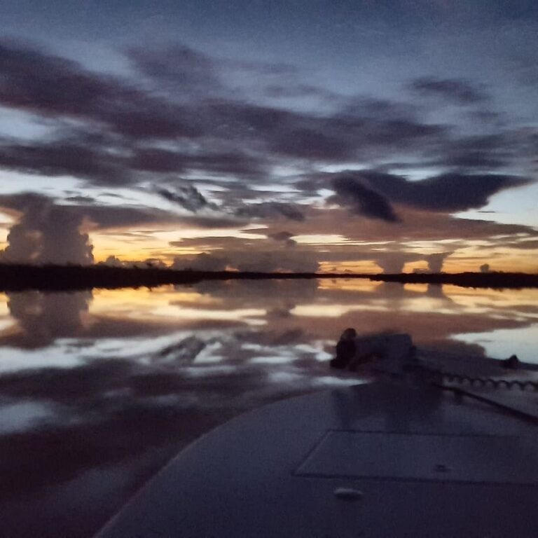 The experience pales the photo. Everglades.