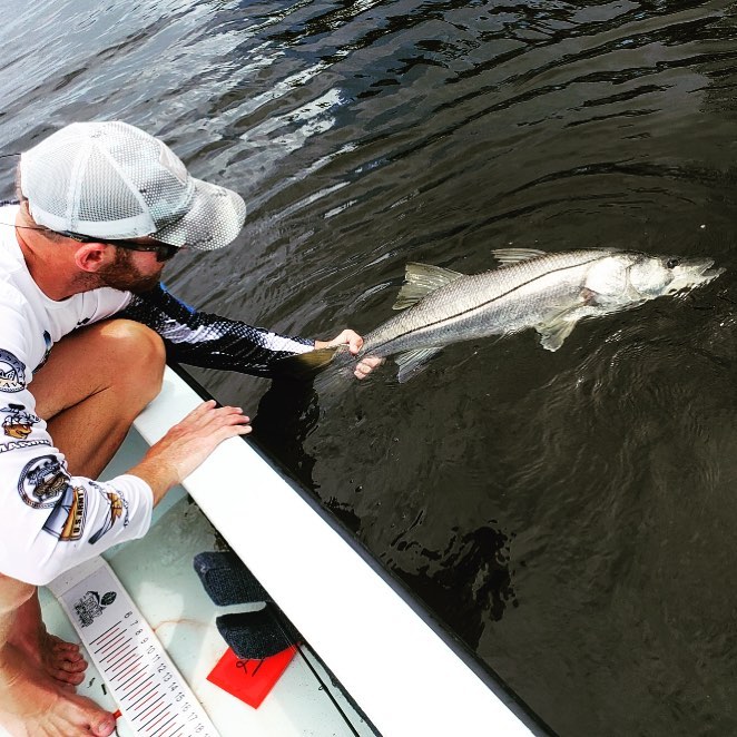 Reviving a 40 inch snook from an epic fight