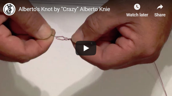 Braid to Mono Knot with Alberto