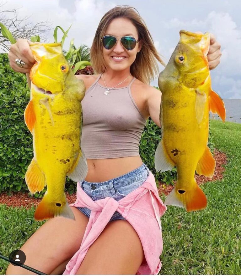 We love Peacock Bass season don’t you???