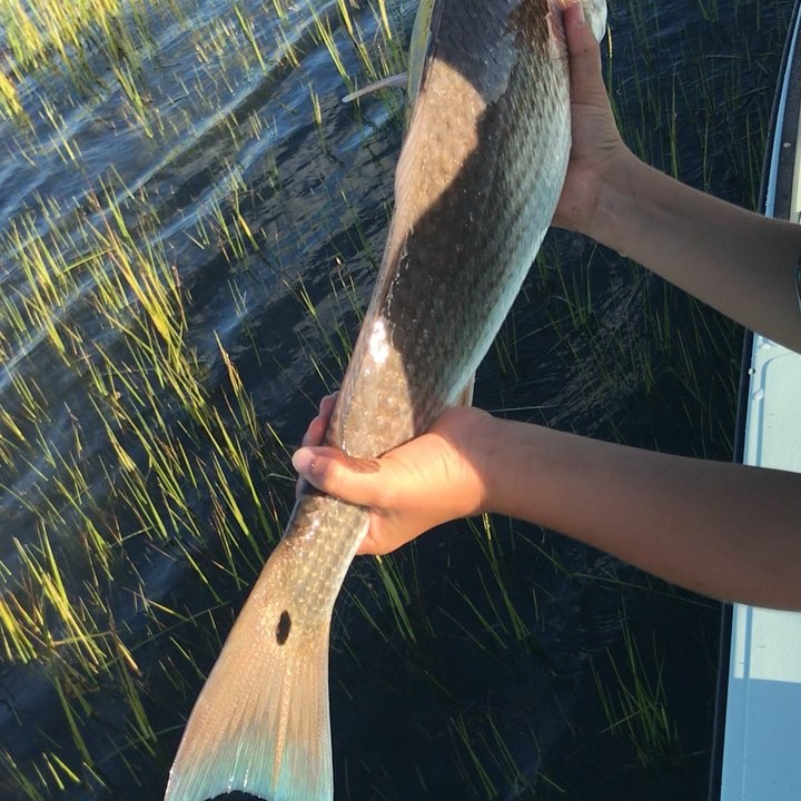 Redfish release! “There ya go buddy”